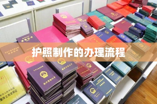 西青护照制作的办理流程