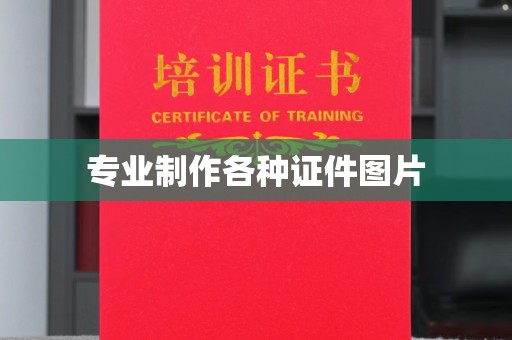 西青专业制作各种证件图片