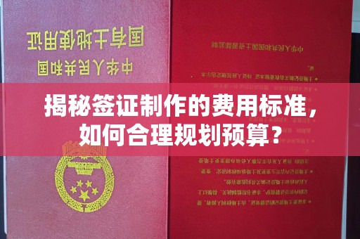 西青揭秘签证制作的费用标准，如何合理规划预算？