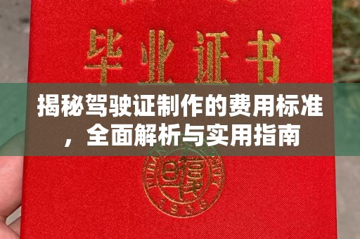 西青揭秘驾驶证制作的费用标准，全面解析与实用指南