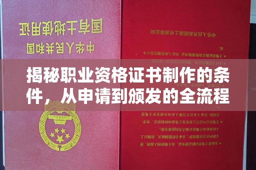西青揭秘职业资格证书制作的条件，从申请到颁发的全流程解析